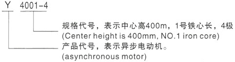 西安泰富西玛Y系列(H355-1000)高压大竹三相异步电机型号说明